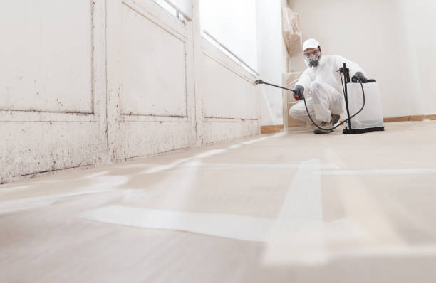 24/7 Emergency Mold Cleanup experts in Pineville, NC